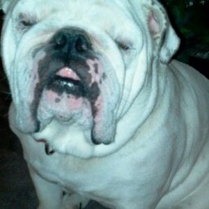 Meet your Posher, Carolyn